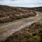 North York Moors